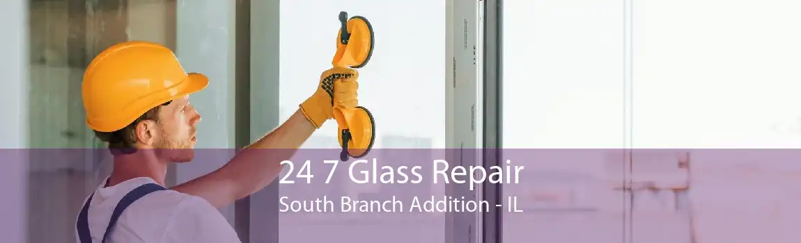 24 7 Glass Repair South Branch Addition - IL