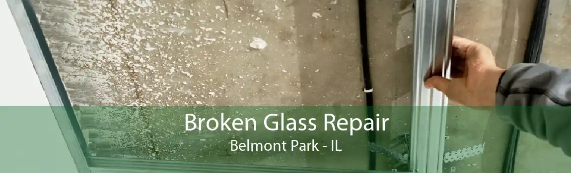 Broken Glass Repair Belmont Park - IL