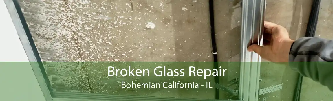 Broken Glass Repair Bohemian California - IL