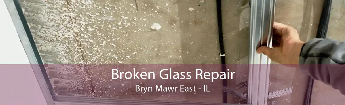 Broken Glass Repair Bryn Mawr East - IL