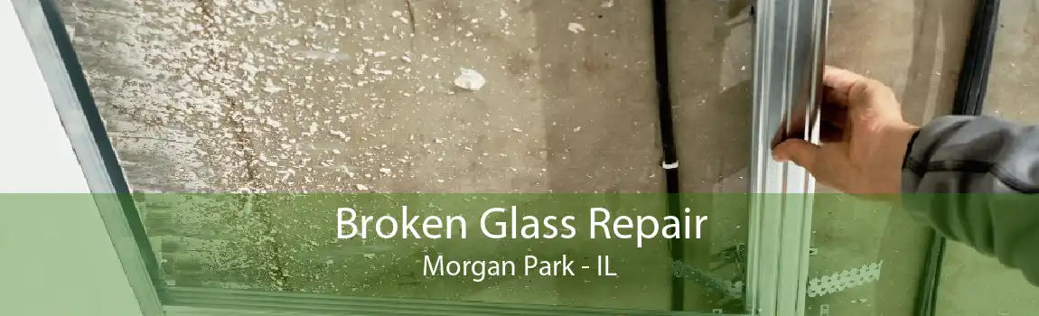 Broken Glass Repair Morgan Park - IL