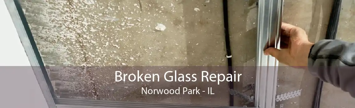 Broken Glass Repair Norwood Park - IL