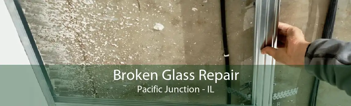 Broken Glass Repair Pacific Junction - IL