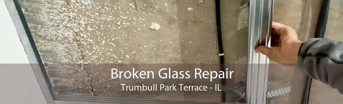 Broken Glass Repair Trumbull Park Terrace - IL