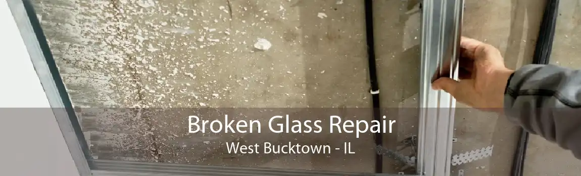 Broken Glass Repair West Bucktown - IL