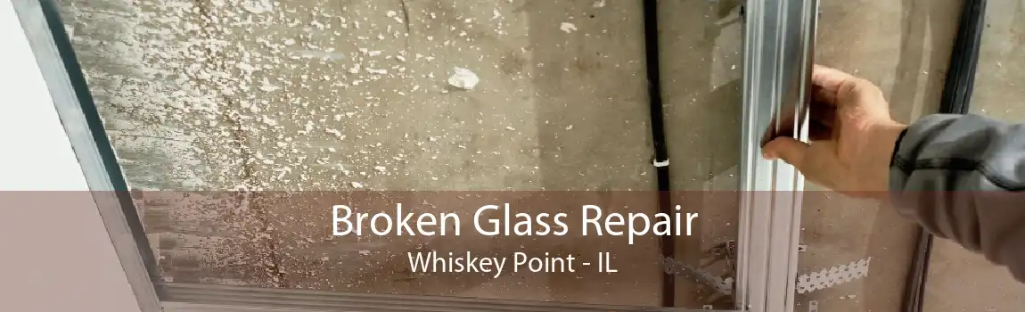 Broken Glass Repair Whiskey Point - IL