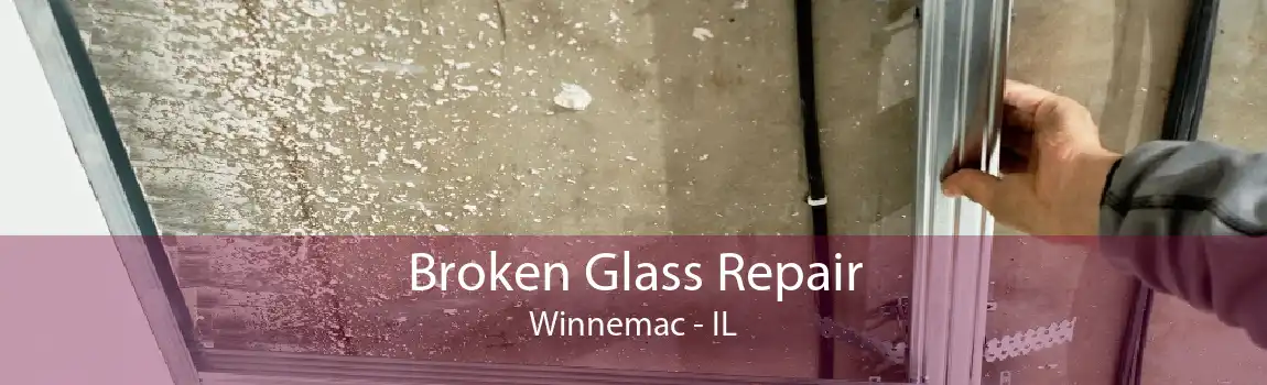 Broken Glass Repair Winnemac - IL