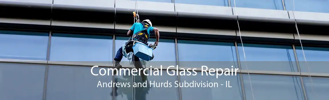 Commercial Glass Repair Andrews and Hurds Subdivision - IL