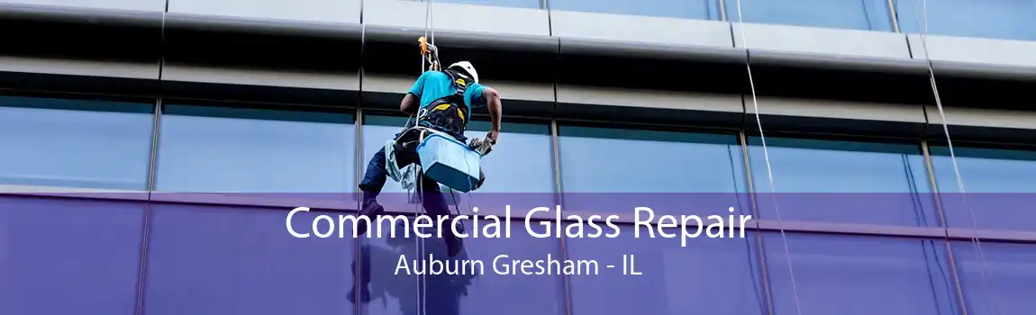 Commercial Glass Repair Auburn Gresham - IL