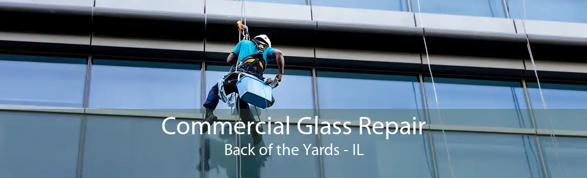 Commercial Glass Repair Back of the Yards - IL