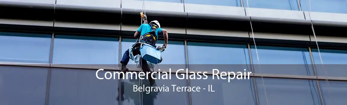 Commercial Glass Repair Belgravia Terrace - IL