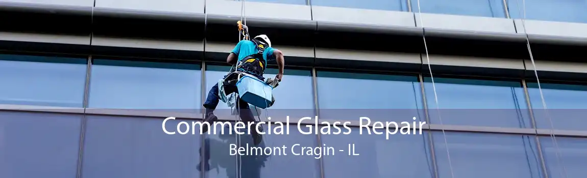 Commercial Glass Repair Belmont Cragin - IL