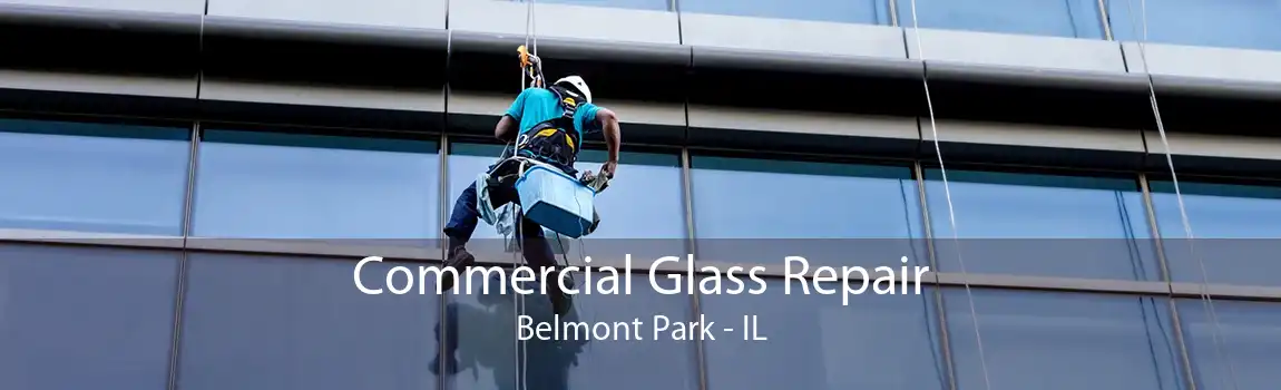 Commercial Glass Repair Belmont Park - IL