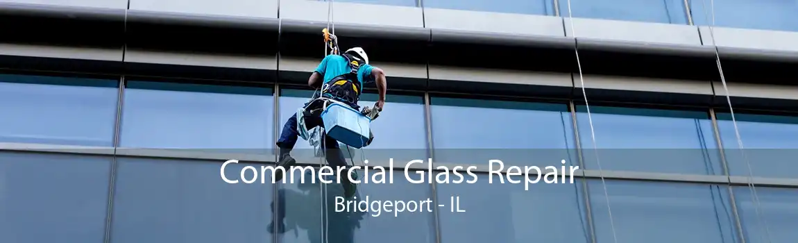 Commercial Glass Repair Bridgeport - IL