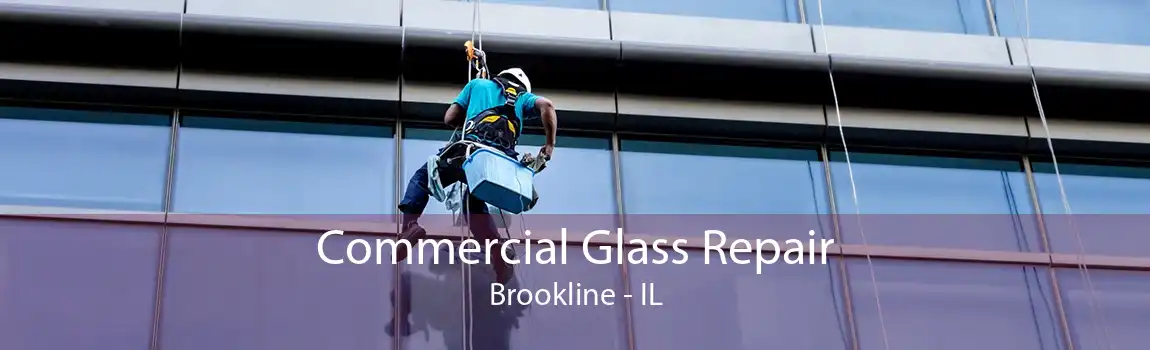 Commercial Glass Repair Brookline - IL