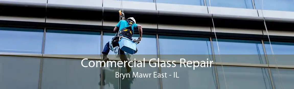 Commercial Glass Repair Bryn Mawr East - IL