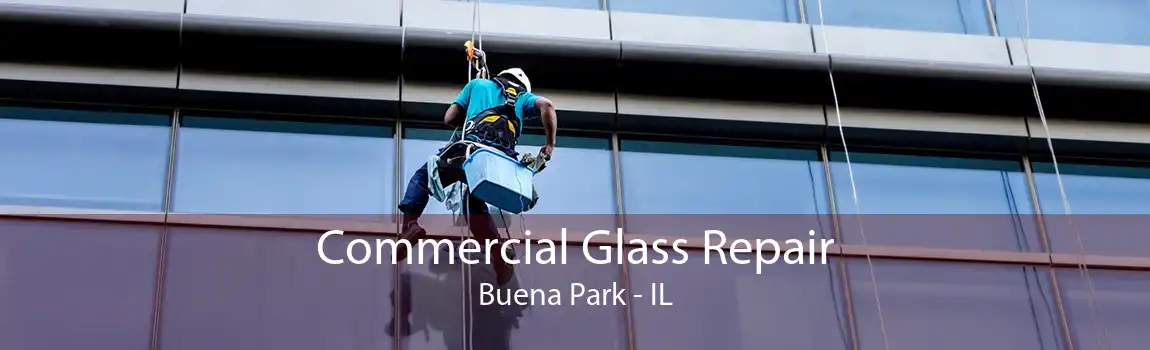 Commercial Glass Repair Buena Park - IL