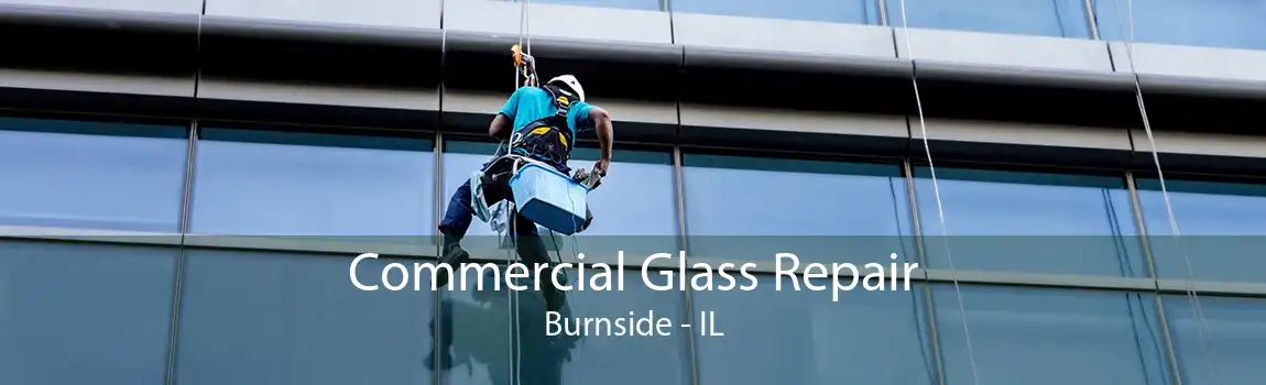 Commercial Glass Repair Burnside - IL