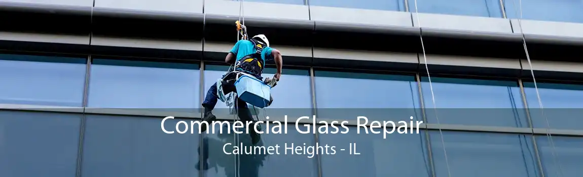 Commercial Glass Repair Calumet Heights - IL