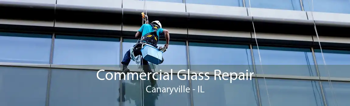 Commercial Glass Repair Canaryville - IL