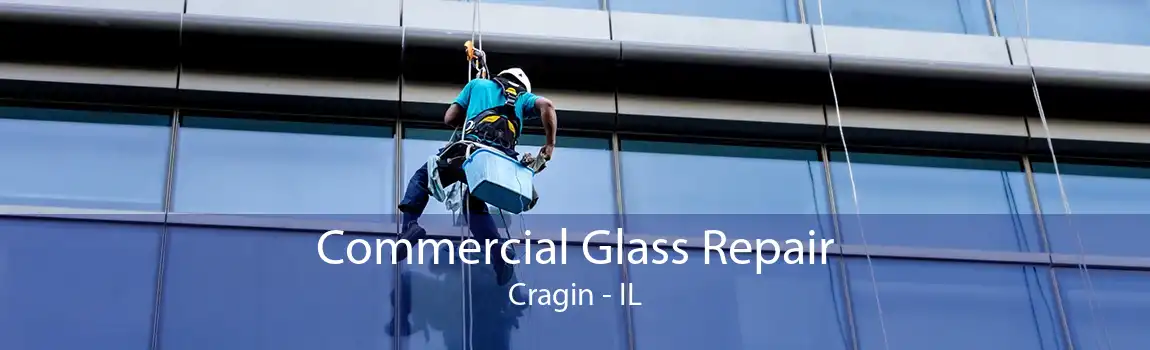 Commercial Glass Repair Cragin - IL