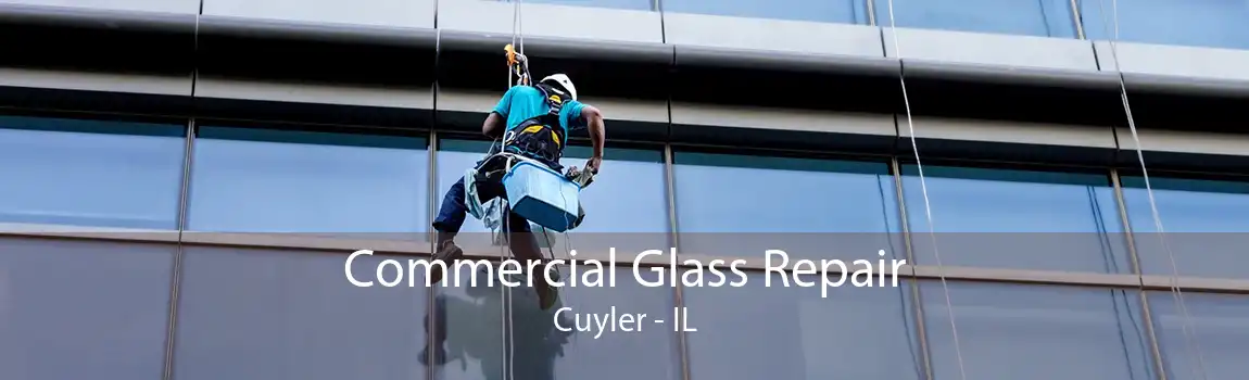 Commercial Glass Repair Cuyler - IL