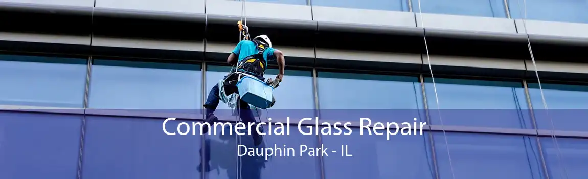 Commercial Glass Repair Dauphin Park - IL