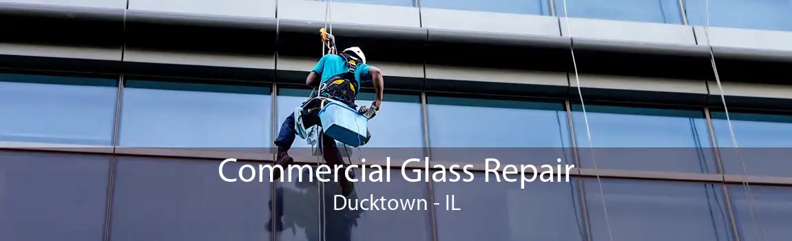 Commercial Glass Repair Ducktown - IL