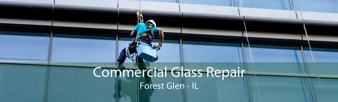 Commercial Glass Repair Forest Glen - IL