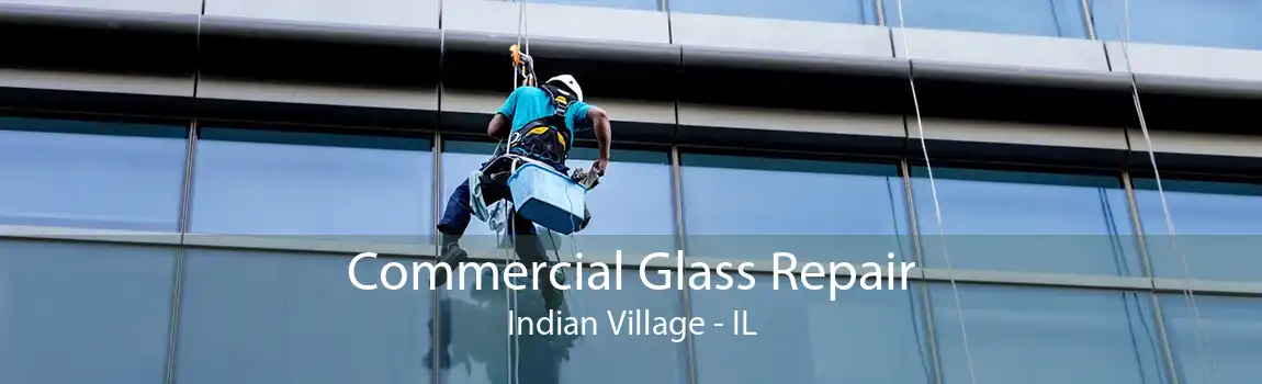 Commercial Glass Repair Indian Village - IL