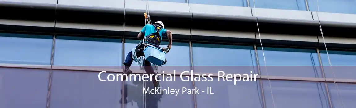 Commercial Glass Repair McKinley Park - IL