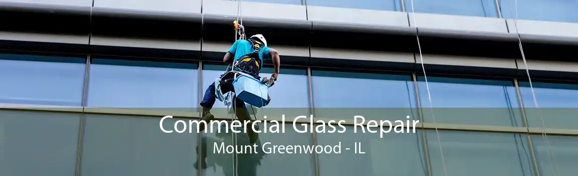 Commercial Glass Repair Mount Greenwood - IL