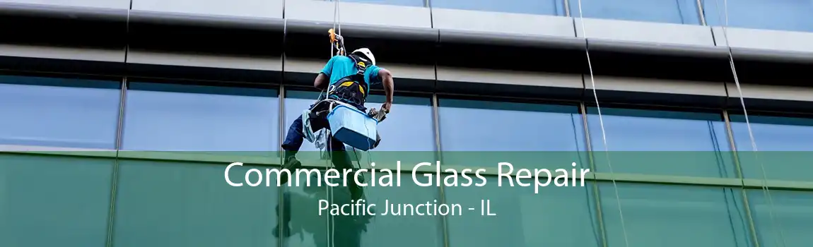 Commercial Glass Repair Pacific Junction - IL