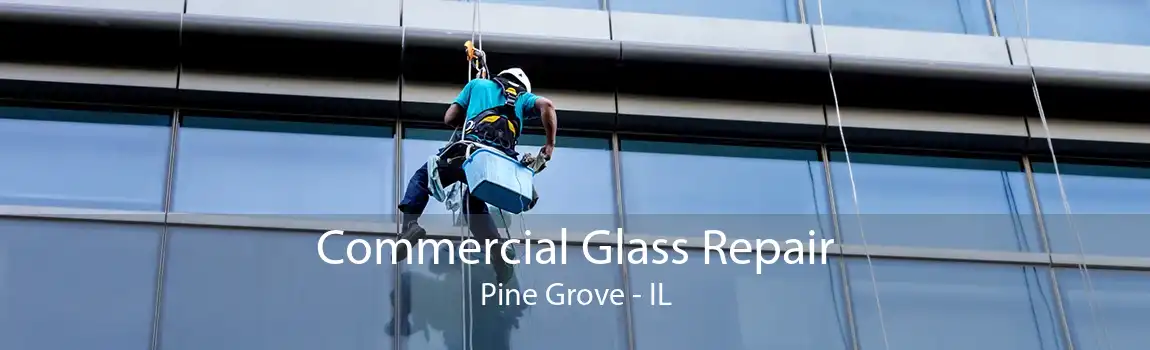 Commercial Glass Repair Pine Grove - IL