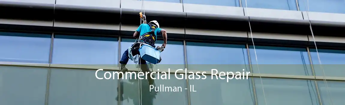 Commercial Glass Repair Pullman - IL