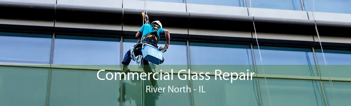 Commercial Glass Repair River North - IL