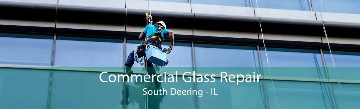 Commercial Glass Repair South Deering - IL