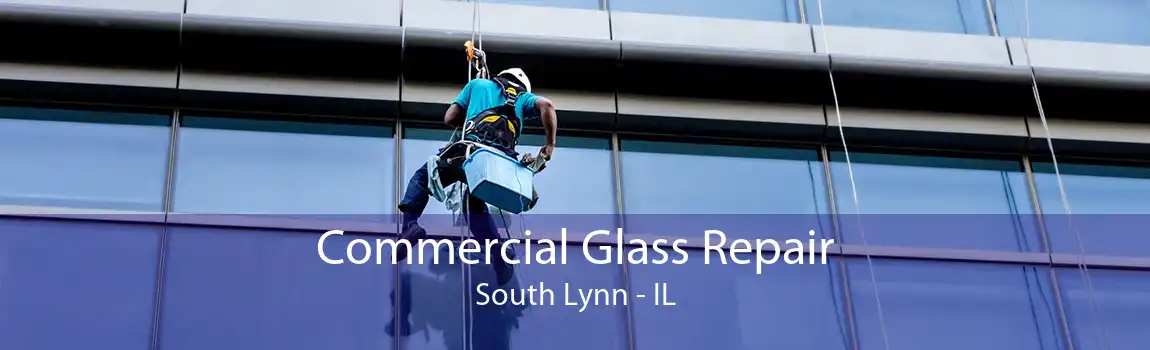 Commercial Glass Repair South Lynn - IL