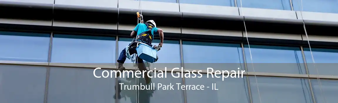 Commercial Glass Repair Trumbull Park Terrace - IL