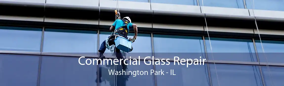 Commercial Glass Repair Washington Park - IL