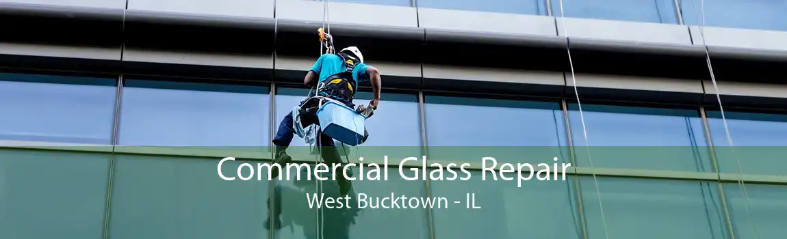 Commercial Glass Repair West Bucktown - IL