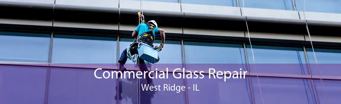 Commercial Glass Repair West Ridge - IL