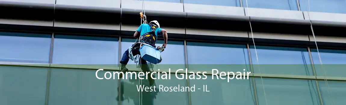 Commercial Glass Repair West Roseland - IL