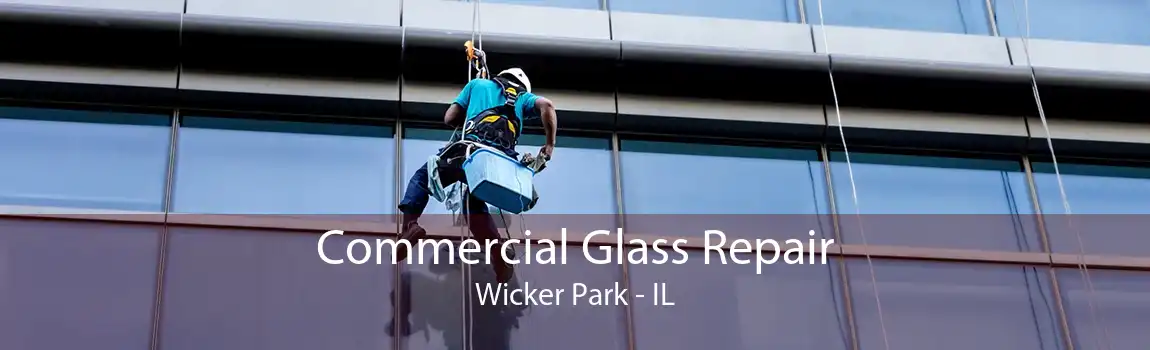 Commercial Glass Repair Wicker Park - IL