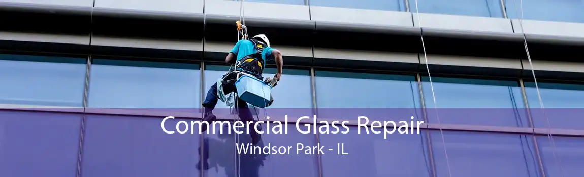 Commercial Glass Repair Windsor Park - IL