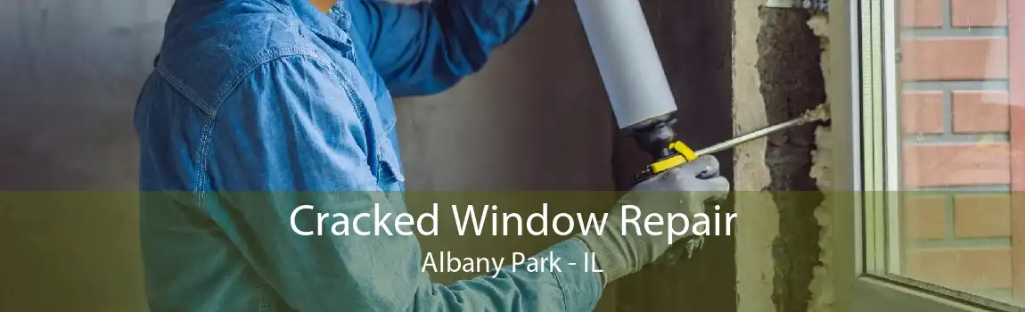 Cracked Window Repair Albany Park - IL