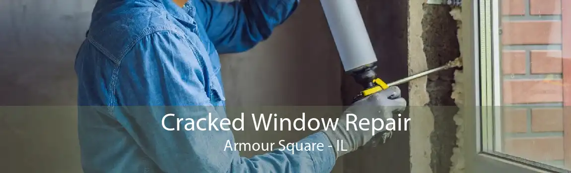 Cracked Window Repair Armour Square - IL