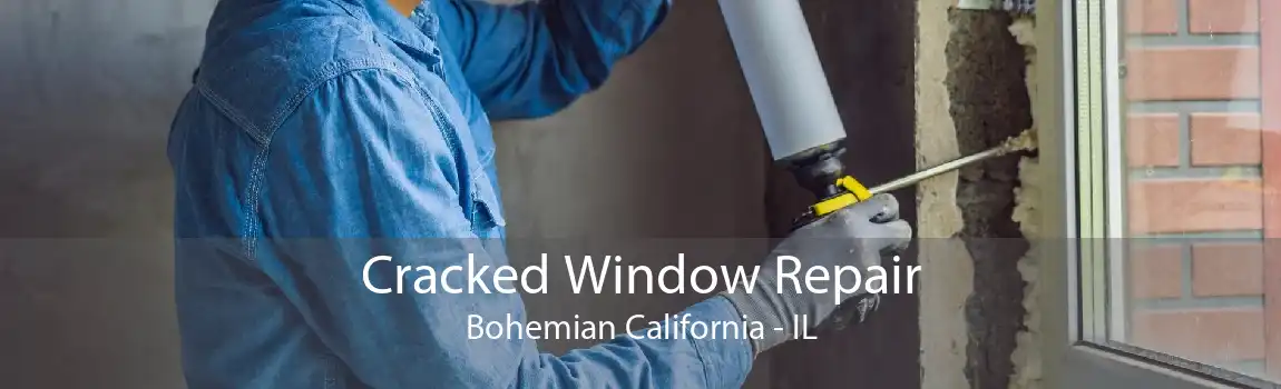 Cracked Window Repair Bohemian California - IL