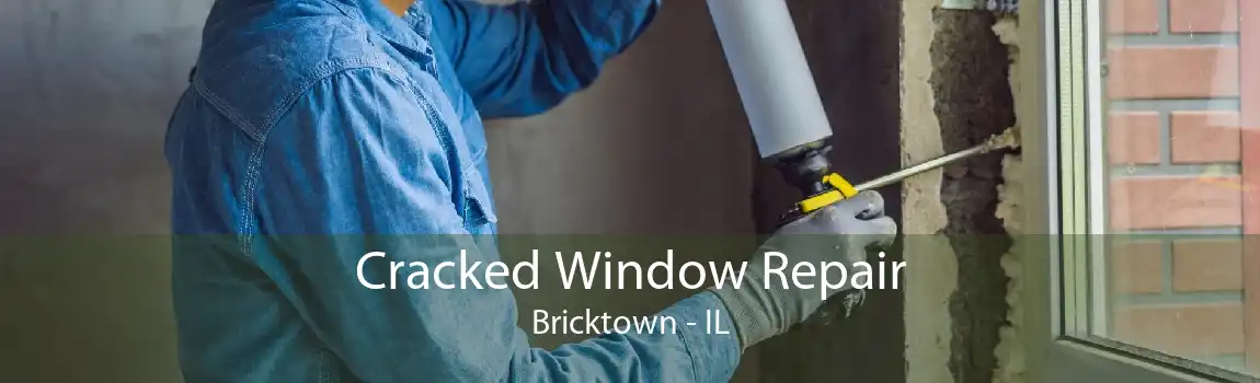 Cracked Window Repair Bricktown - IL