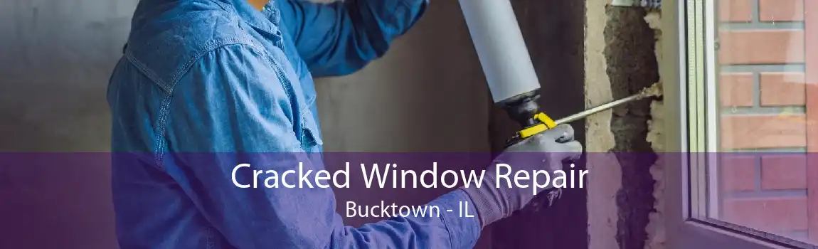 Cracked Window Repair Bucktown - IL